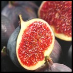 9987ce1a79c6b1bcd2a7f1caf601d0cd